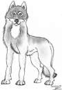 A Wolf