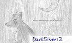 DarkSilver12