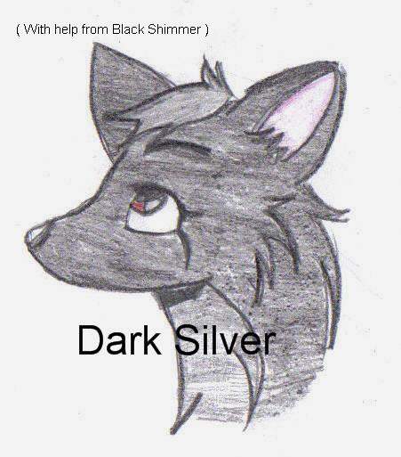 Dark Silver
