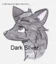 Dark Silver