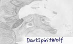 DarkSpiritWolf