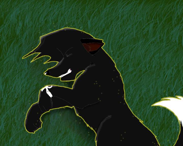 Bad dream