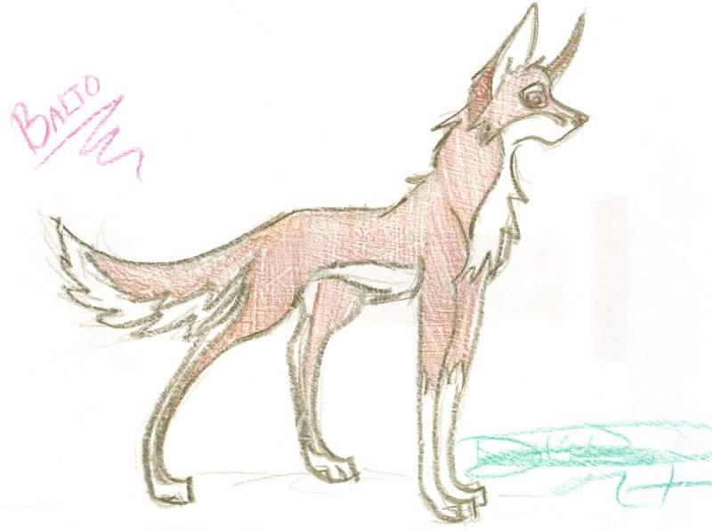 Balto