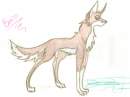 Balto