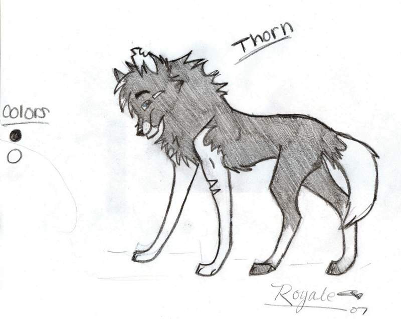 Thorn