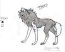 Thorn