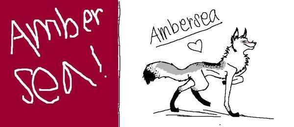 AmberSea