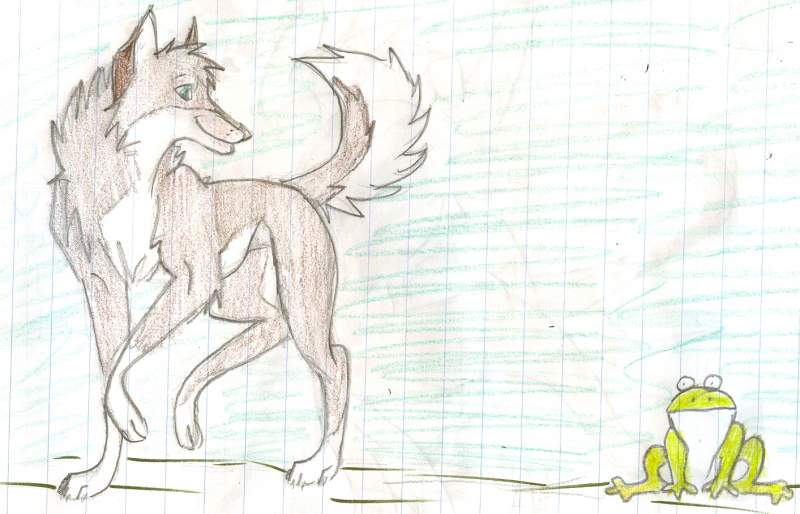 SilverDeni and Frohgg
