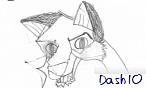 dash10