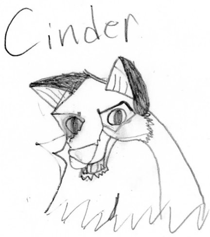 cinder