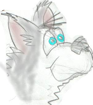 husky yey