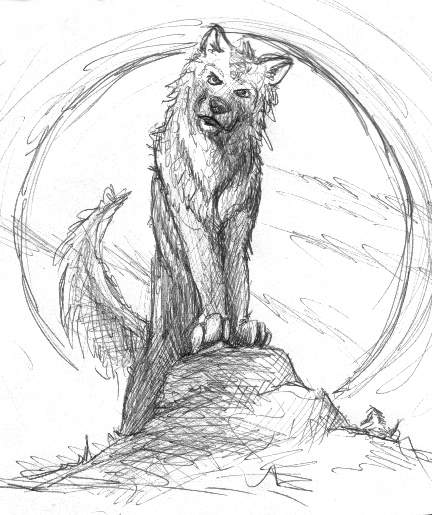 dazzz wolf