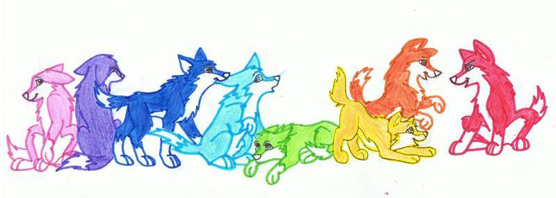 Rainbow puppies!:D