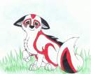 ~Reyjak Puppy!~