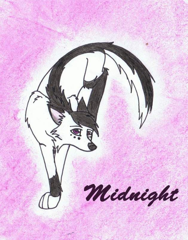 ~Midnight~