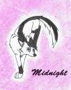 ~Midnight~