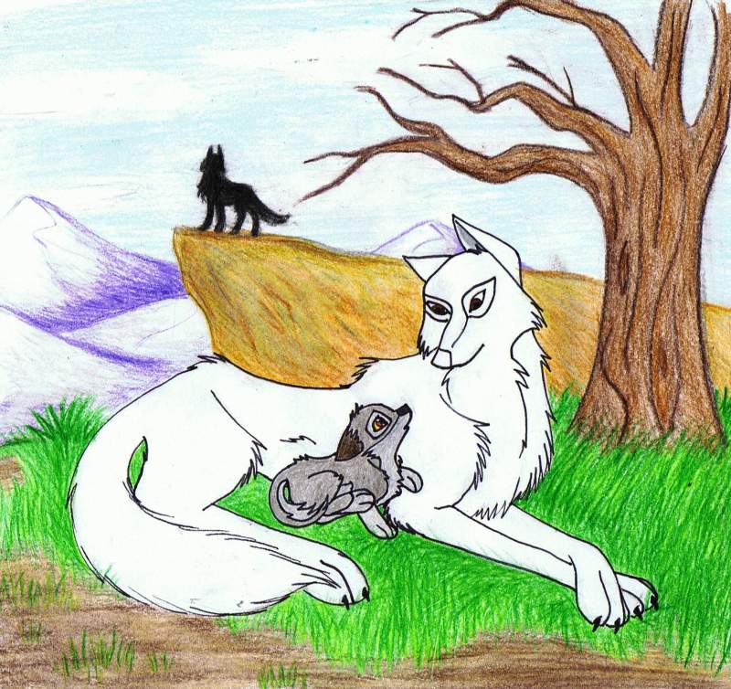 ~Balto and Aniu~
