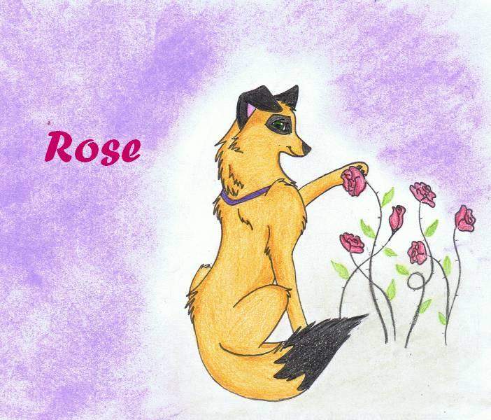 ~Rose~
