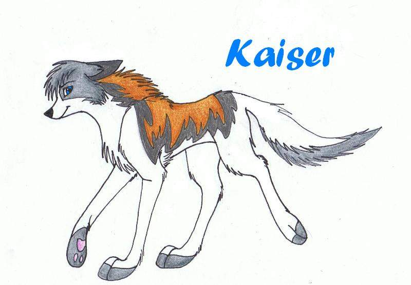 ~Kaiser~