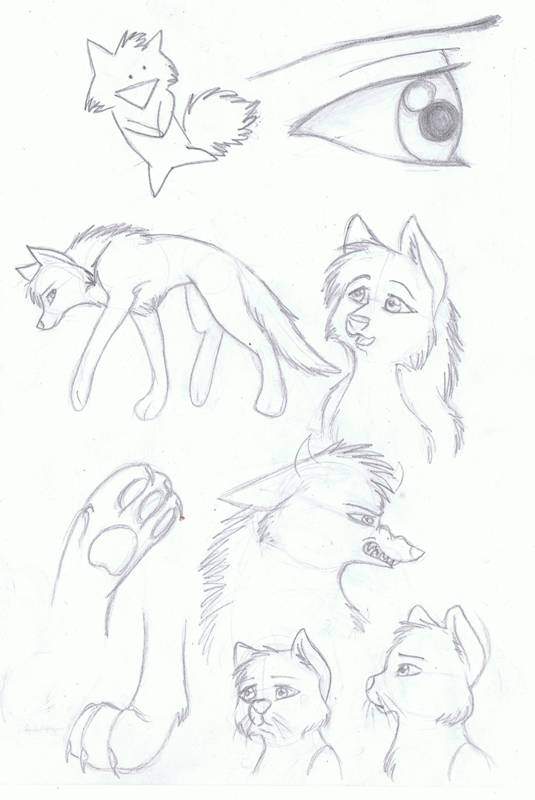 ~Sketchy~