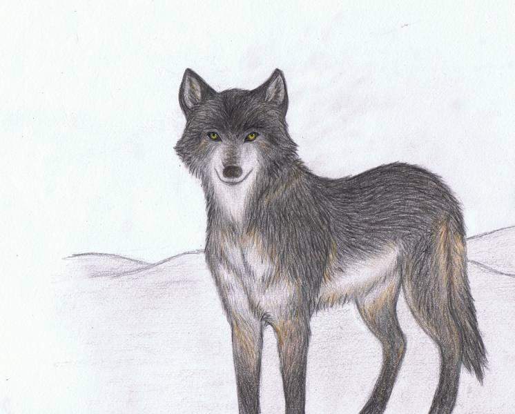 ~Bright Eyes~