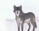 ~Bright Eyes~