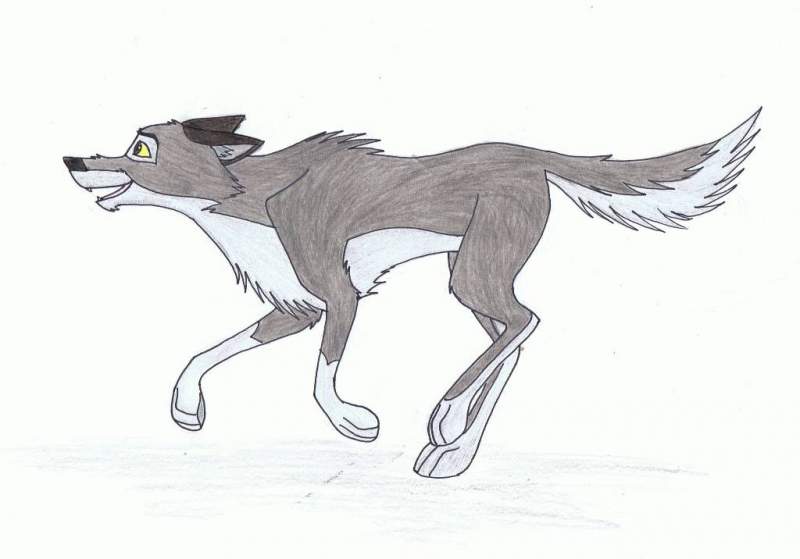 Balto Running