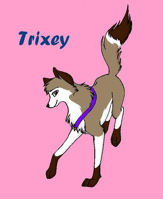 ~Trixey~
