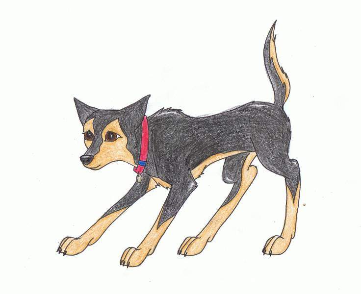 ~Bonnie~