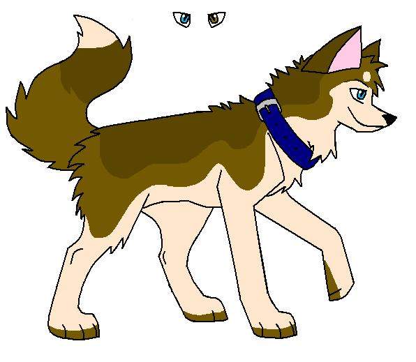 Klee Kai