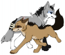 Playful Frolic