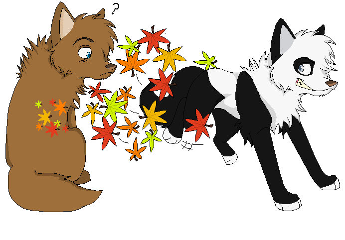 When The Leaves Fall