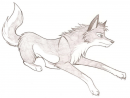Balto Sketch