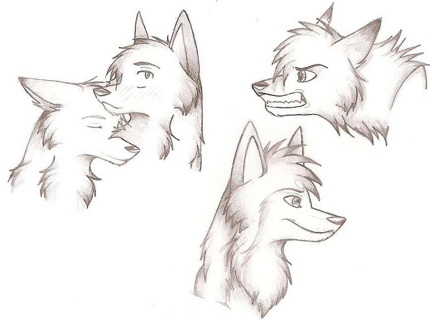 Sketches