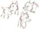 Sketches