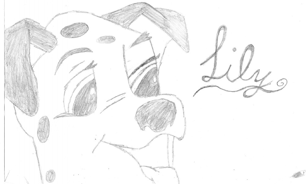 Lily