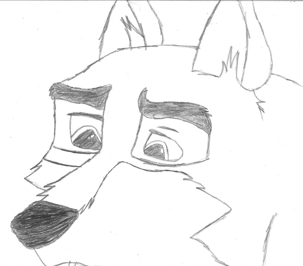 Balto 