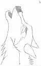 Alue