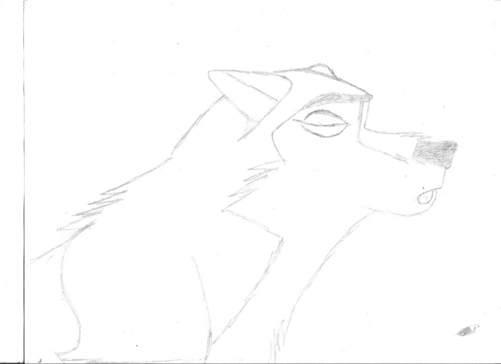 Alue pup howling
