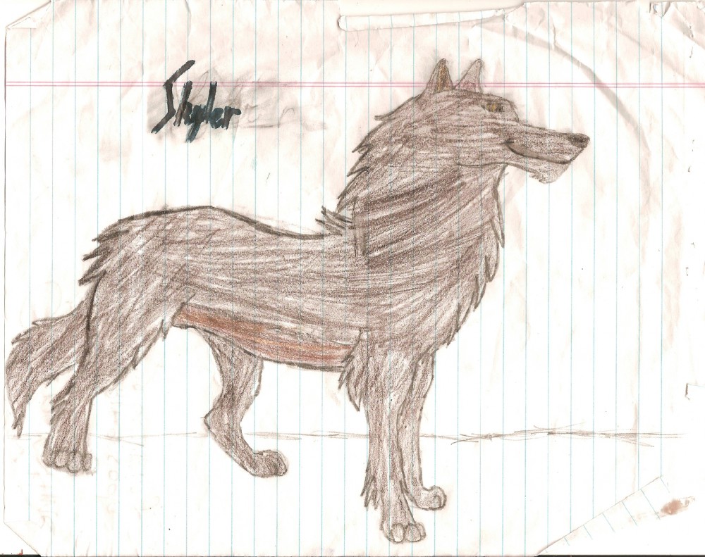 ~Skyler~