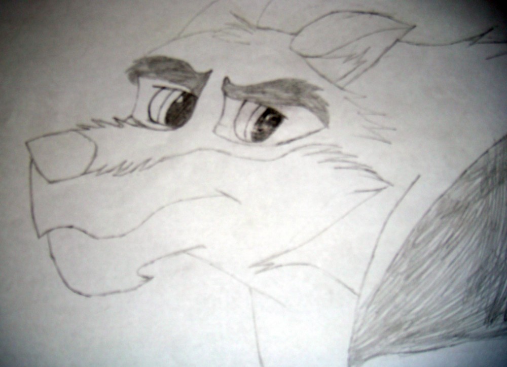 Balto ^_~