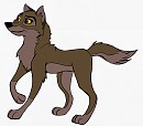 Balto Femelle