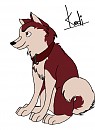Kodi