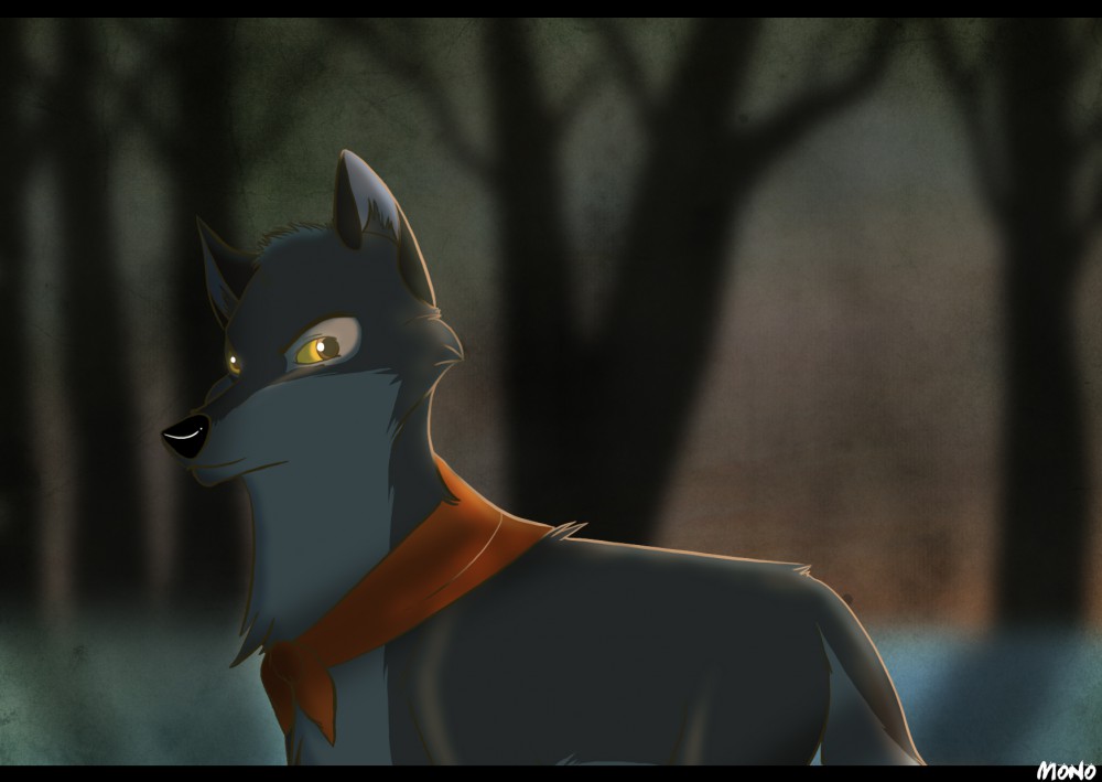 Searching