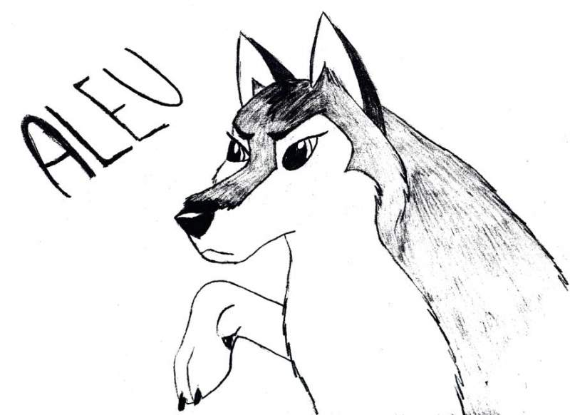 Aleu