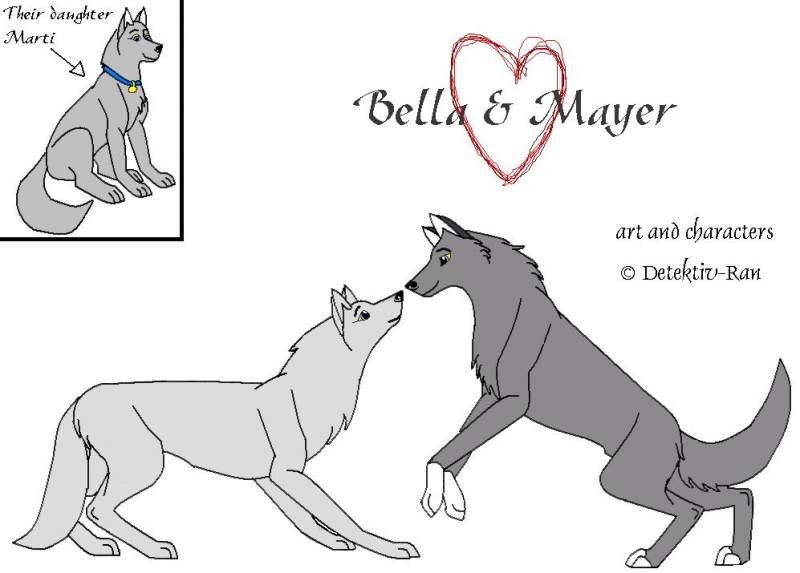 Bella/love/ Mayer