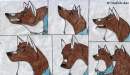 Alioth poses