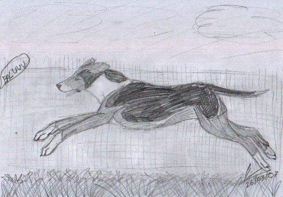 Balù likes run