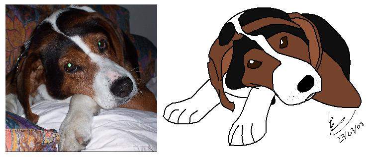 Balù's photo and Balù's pic