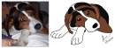 Balù's photo and Balù's pic